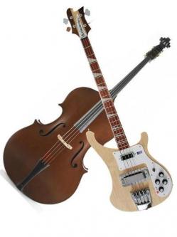 basse/contrebasse